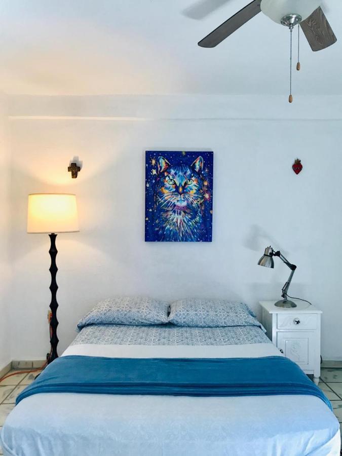 Hotel Posada Senor Manana San José del Cabo Exteriör bild