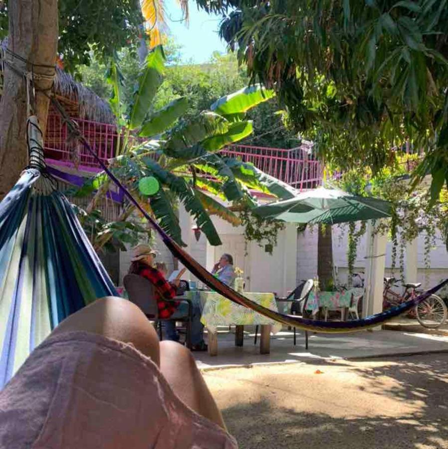Hotel Posada Senor Manana San José del Cabo Exteriör bild